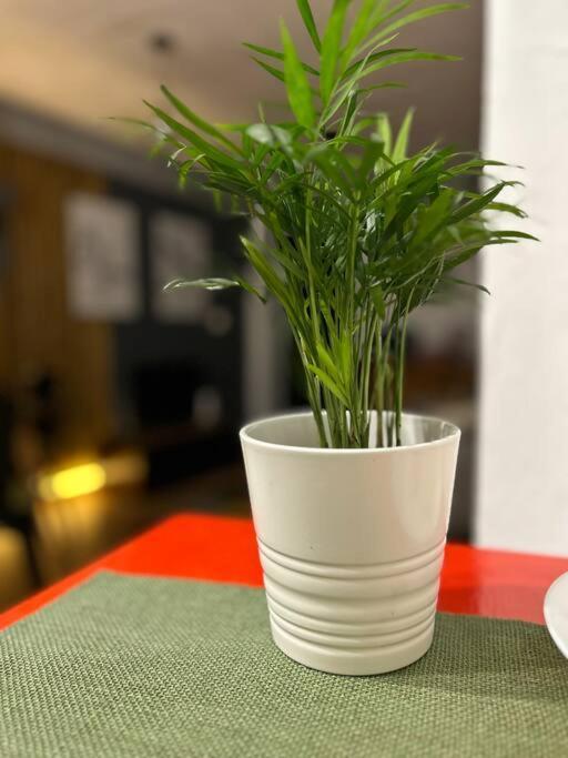Loft Centro Santander Διαμέρισμα Εξωτερικό φωτογραφία